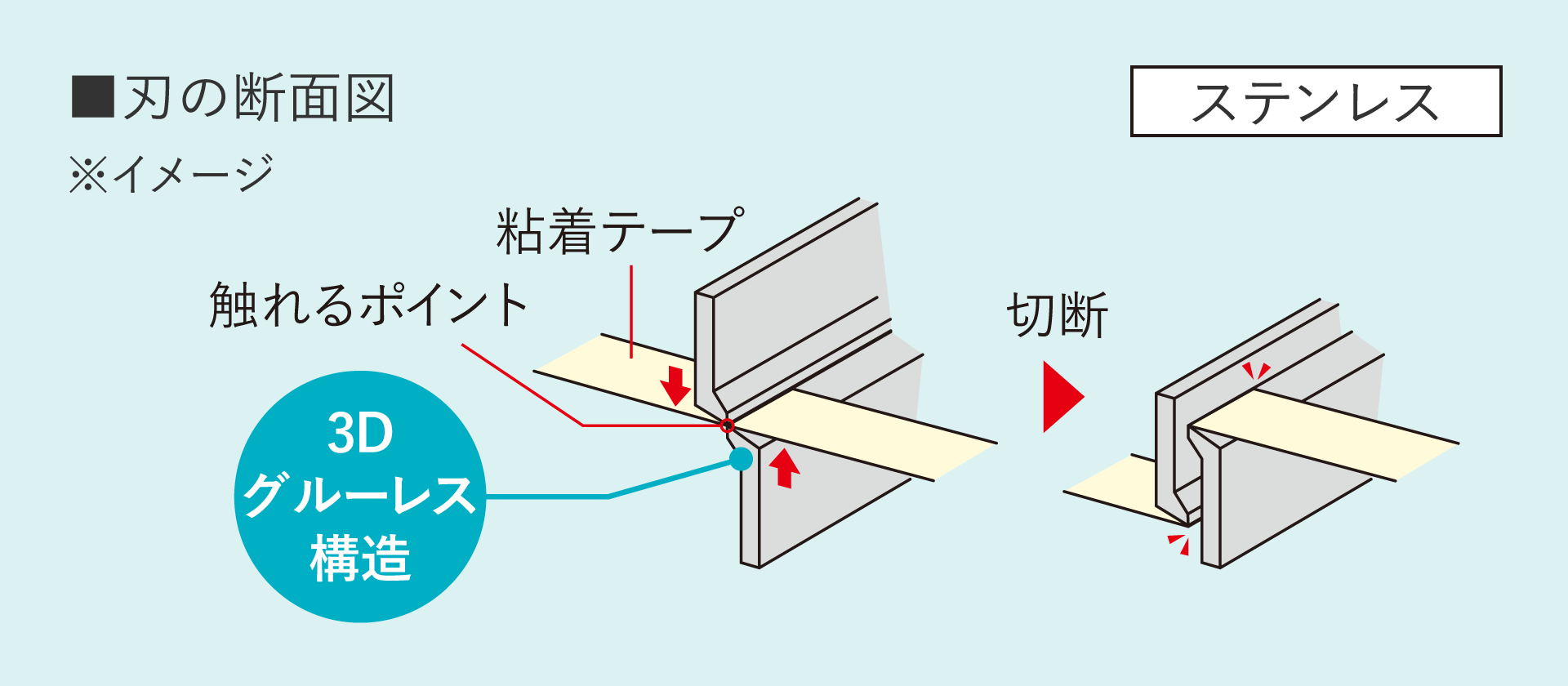 画像：刃の断面図