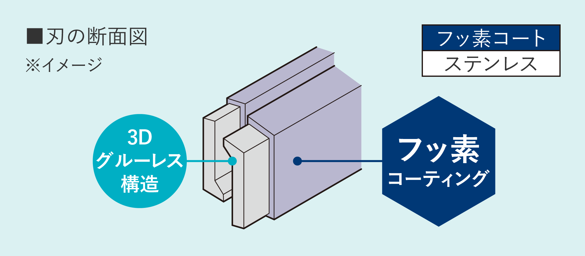 画像：刃の断面図