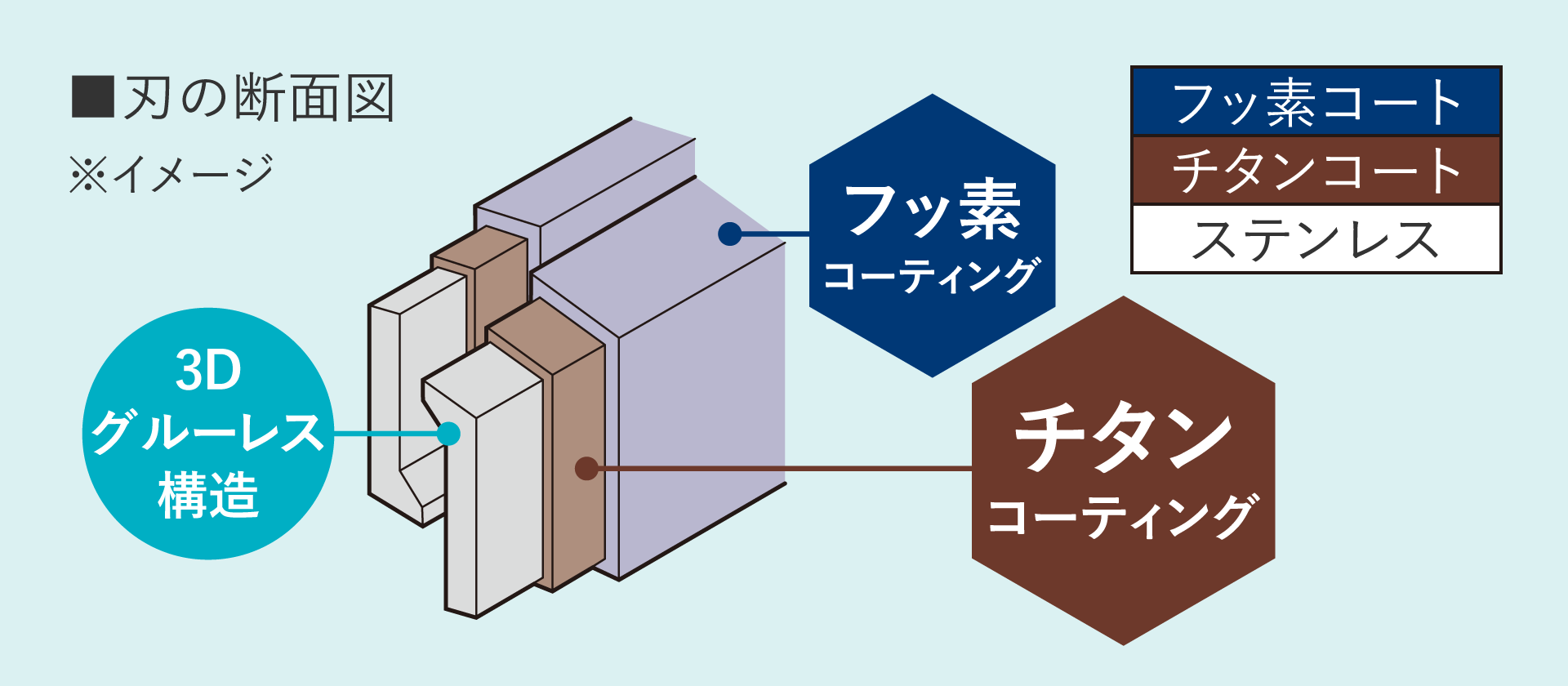 画像：刃の断面図