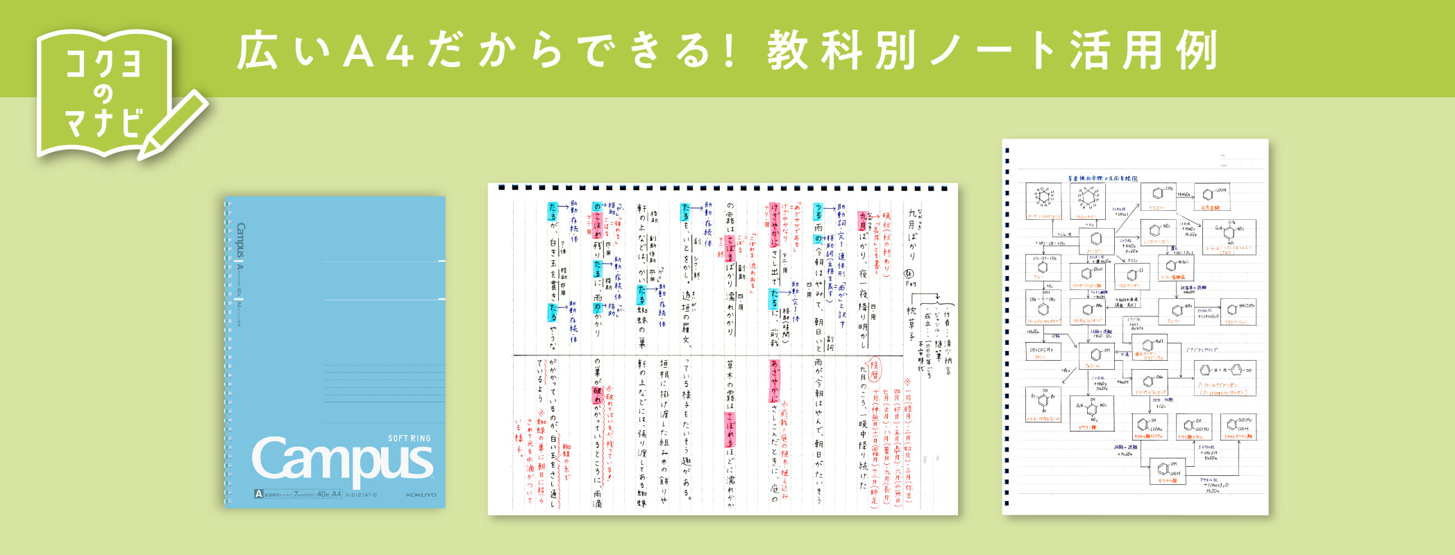 広いA4だからできる！ 教科別ノート活用例