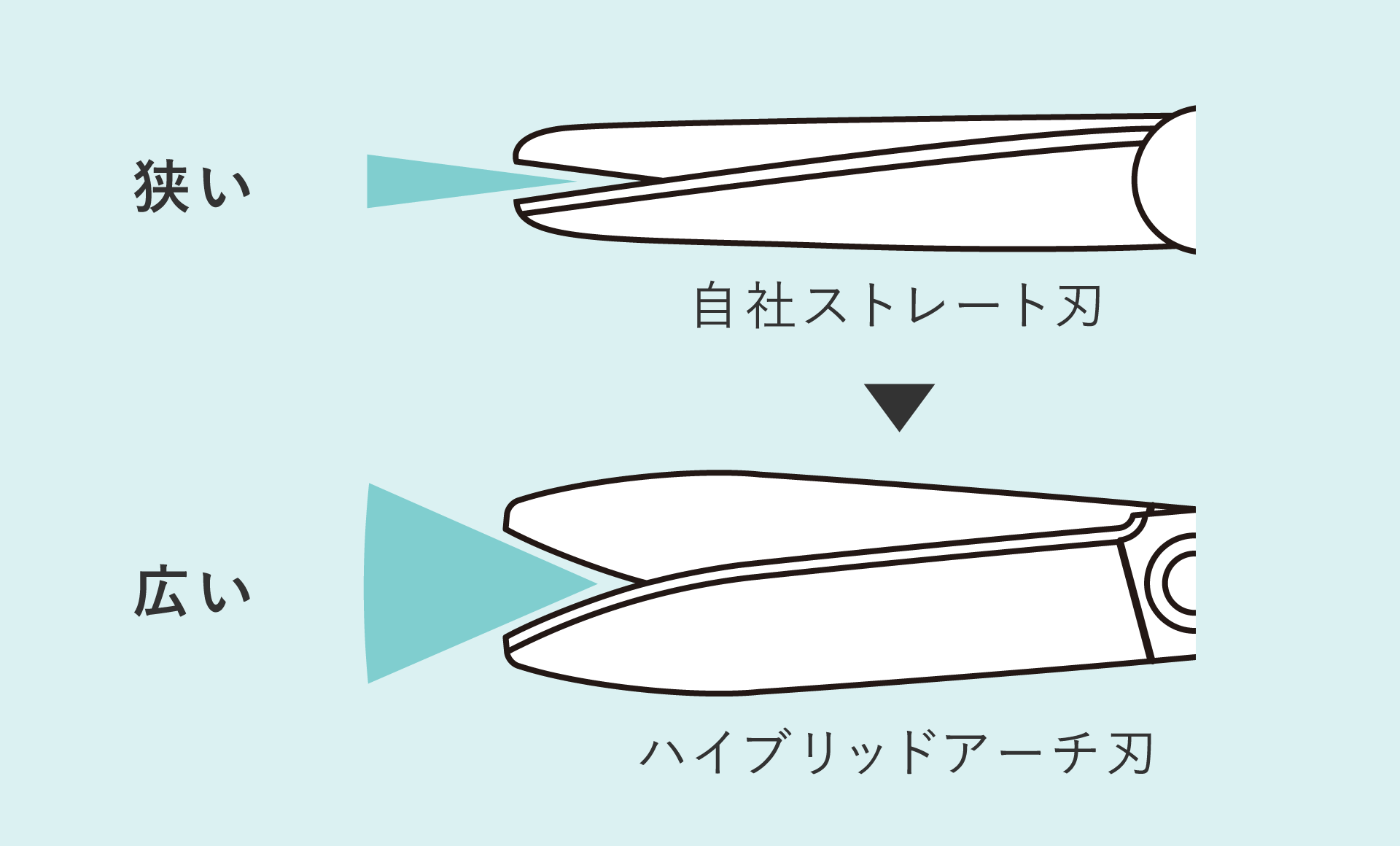 画像：刃の違い